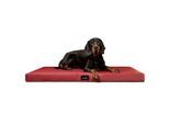 Tierlando ALICE EASY CLEAN Orthopädische Hundematratze aus Kunstleder dunkelrot 1 m, 9 cm, 80 cm