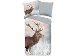 Wendebettwäsche GOOD MORNING "Wess", grau, B/L: 155cm x 220cm, 1 Stk., 1 Stk., Renforcé, B/L: 80cm x 80cm, 2 Stk., Renforcé, Obermaterial: 100% Baumwolle, Bettwäsche, Wendebettwäsche, Baumwolle, Renforcé, Reißverschluss, Wende, Reh, Hirsch, winter, Grau