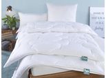 Kunstfaserbettdecke FAN "Texas", weiß, B:135cm L:200cm, Bezug: 100% Baumwolle. Füllung: 100% Polyester, Bettdecken, Kunstfaserbettdecke, bewährte Markenqualität - seit Jahrzenten geschätzt