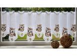 Scheibengardine STICKEREIEN PLAUEN "Eulen" Gr. 1, beige (beige, braun), B:80cm H:40cm, Voile, Polyester, Gardinen, Scheibengardine