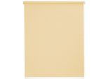 Seitenzugrollo SUNLINES "Youngstyle Uni", beige (creme, weiß), B:102cm H:180cm, Aluminium, Kunststoff, Polyester, Rollos, Seitenzugrollo