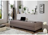 Gästebett MAINTAL, grau (taupe, schwarz), Struktur Holzwerkstoff, Liegefläche B/L: 90cm x 200cm, Bonnell-Federkernmatratze, Faltbetten, Gästebett, mit Bettkasten