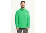 Fleecejacke JACK WOLFSKIN "TAUNUS 100 FZ M", Herren, Gr. M (50), grün (lizard), Obermaterial: 100% POLYESTER. Futter: 100% POLYESTER, Jacken Fleecejacke