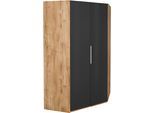 Eckkleiderschrank WIMEX "Level by fresh to go", grau (plankeneichefarben, grauglas), H:236cm, Schränke, Eckkleiderschrank, mit Glastüren