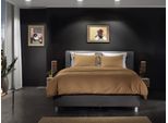 Bettwäsche YELLOW "Percale", braun (cognac braun), B/L: 135cm x 200cm, 1 Stk., 1 Stk., Perkal, B/L: 80cm x 80cm, 2, Perkal, Obermaterial: 100% Baumwolle, Bettwäsche, Bettwäsche, Uni Design, 100% Baumwolle ab 135x200 cm.