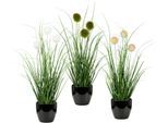 Kunstgras OTTO HOME "Grasbusch, naturgetreue Kunstpflanze, 35cm hoch", grün (grün, schwarz), H:35cm Ø:7,5cm, Kunststoff, Kunstpflanzen, Kunstgras, im 3 teiligen Set, mit Übertopf wahlweise in schwarz oder weiß