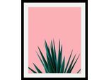 Bild QUEENCE "Palme", bunt (farbe rahmen: schwarz, farbe bild(er): bunt), B:50cm H:70cm T:3cm, Acrylglas, Holz, Papier, Bilder, Bild, HD Premium Poster-Druck inkl. Holzrahmen