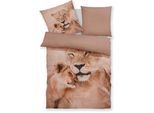 Bettwäsche OTTO HOME "Lyki", löwe, B/L: 155cm x 220cm, 1 Stk., 1 Stk., Microfaser, B/L: 80cm x 80cm, 2 Stk., Microfaser, Obermaterial: 100% Polyester, Bettwäsche, Bettwäsche, ab Größe 135x200 cm, 100% Polyester, Katze, Pferd, Löwe, Pinguin