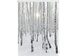 Seitenzugrollo LICHTBLICK ORIGINAL "Klemmfix Motiv Birkenwald" Gr. 4, weiß (weiß, weiß), B:80cm H:150cm, Polyester, Rollos, Seitenzugrollo, bedruckt