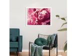 Bild QUEENCE "Andreas", rosa (farbe rahmen: weiß, farbe bild(er): rosa), B:50cm H:40cm, Acrylglas, Holz, Papier, Bilder, Bild, Rosen, gerahmt