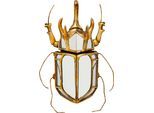 Wanddekoobjekt KARE DESIGN "Wandschmuck Beetle Mirror 25x39cm", gold (goldfarben), B:25cm H:39cm T:6cm, Polyresin, Wanddekoobjekte, Wanddekoobjekt