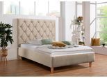 Polsterbett HOME AFFAIRE "Sunley 140", beige (beige, natur), B:203cm L:210cm, Struktur (100% Polyester);Samtstoff (100% Polyester), Betten, Polsterbett, Kreuzsteppung, Kopfteilhöhe 142 cm, ohne oder mit Matratze/Lattenrost