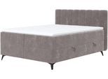 Boxbett COTTA "Vicky inkl. Bettkasten", grau, B:185cm L:210cm, 94% POLYESTER (PES);6%POLYAMID (PA), Komplettbetten, Boxbett, erhältlich in den Breiten 160x200cm & 180x200cm