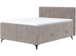Boxbett COTTA "Vicky inkl. Bettkasten", grau (elephant), B:165cm L:210cm, 94% POLYESTER (PES);6%POLYAMID (PA), Komplettbetten, Boxbett, erhältlich in den Breiten 160x200cm & 180x200cm