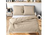 Bettwäsche WOLKENFELD "Allergiker Bettwäsche, unfassbar weich", beige, B/L: 220cm x 240cm, 1 Stk., 2 Stk., Microfaser, B/L: 80cm x 80cm & 80cm x 80cm, 3 tlg., Microfaser, Obermaterial: 100% Polyester, Bettwäsche, Bettwäsche, 135x200 cm, 155x220 & Übergrößen I inkl. Kissenbezüge 80x80 I Uni