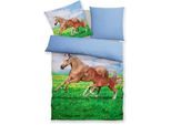 Bettwäsche OTTO HOME "Lyki", pferd, B/L: 135cm x 200cm, 1 Stk., 1 Stk., Microfaser, B/L: 80cm x 80cm, 2, Microfaser, Obermaterial: 100% Polyester, Bettwäsche, Bettwäsche, ab Größe 135x200 cm, 100% Polyester, Katze, Pferd, Löwe, Pinguin