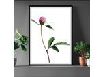 Bild QUEENCE "Manuel", grün (farbe rahmen: schwarz, farbe bild(er): grün, weiß, rosa), B:50cm H:60cm, Acrylglas, Holz, Papier, Bilder, Bild, gerahmt, Rosen