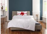 Microfaserbettdecke OTTO HOME "Corella, Bettdecke 135x200 cm, mit Gratis-Kissen dazu: 40x80 cm", weiß, B:155cm L:220cm, Obermaterial: 100% Polyester. Füllung: 100% Polyester, Bettdecken, Microfaserbettdecke, Bettdecken, Sommer, Winter, 4 Jahreszeiten, Decke mit Gratiskissen