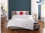 Microfaserbettdecke OTTO HOME "Corella, Bettdecke 135x200 cm, mit Gratis-Kissen dazu: 40x80 cm", weiß, B:135cm L:200cm, Obermaterial: 100% Polyester. Füllung: 100% Polyester, Bettdecken, Microfaserbettdecke, Bettdecken, Sommer, Winter, 4 Jahreszeiten, Decke mit Gratiskissen