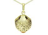 Kette und Anhänger Set OSTSEE-SCHMUCK "- Muschel - Gold 333/000 - Bernstein" Gr. 42, gold (gold 333, goldfarben, gelb), Schmuck_Sets, Damen, 42, Gelbgold 333