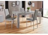 Essgruppe OTTO HOME "Lynn160/Brooke", grau (beton optik, grau), Sitzmöbel-Sets, Essgruppe, Set: Tisch mit 4 Stühlen