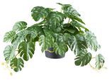 Kunstpflanze CREATIV GREEN "Splitphilodendron", grün, H:40cm Ø:24cm, Kunststoff, Kunstpflanzen, Kunstpflanze, mit naturgetreuem Blattwerk