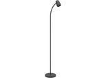 EGLO Stehlampe "CARLO Stehlampe - Stahl - E14 - 1X18W - IP20", schwarz, 1, H: 170cm, 1 Stk., Leuchten, Standlampe, 170 cm, Flexarm, schwenkbar, Leselampe, Wohnzimmerlampe, Stehlampe