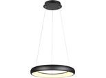 TRIO LEUCHTEN LED Pendelleuchte "CARDONA, LED Ring Hängeleuchte, 4400 Lumen 38W, Lichtfarbe einstellbar", schwarz (schwarz matt), 1, Ø 62cm H: 150cm, 1 Stk., Leuchten, 2300/3000/4000K warmweiß bis kaltweiß, 3 Stufen dimmbar Höhe 150cm Ø62, LED Pendelleuchte