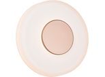TRIO LEUCHTEN LED Wandleuchte "CELESTE, LED Wandlampe aus Metall und Glas Ø 22cm, 10W 1100 Lumen", braun (coffee), 1, Ø 22cm, 1 Stk., Leuchten, 3-Stufen dimmbar über Wandschalter, elegante moderne Wandlampe Flur, LED Wandleuchte