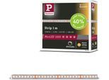 PAULMANN LED-Streifen "MaxLED 1000 LED Strip Warmweiß Einzelstripe", silber (silberfarben), Dioden 128 Stk., Gesamtlänge 1m, Lichterketten, LED-Streifen