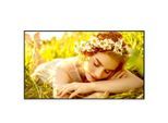 LG 43UL5Q-E Signage Display 109,22 cm 43 Zoll