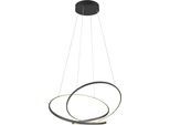 TRIO LEUCHTEN LED Pendelleuchte "DARVIN, LED Hängelampe 52W 6700 Lumen, dimmbar, Lichtfarbe einstellbar", schwarz (schwarz matt), 1, H: 150cm, 1 Stk., Leuchten, CCT 2300/3000/4000K warmweiß-kaltweiß, höhenverstellbar bis max 150cm, LED Pendelleuchte