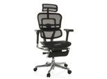 hjh OFFICE Luxus Chefsessel ERGOHUMAN PLUS LEGPRO GEN2 Netzstoff mit Armlehnen (höhenverstellbar)