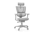 hjh OFFICE Luxus Chefsessel ERGOHUMAN SLIM G GEN2 Netzstoff mit Armlehnen (höhenverstellbar)