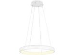 TRIO LEUCHTEN LED Pendelleuchte "CARDONA, LED Ring Hängeleuchte, 6900 Lumen 59W, Lichtfarbe einstellbar", weiß (weiß matt), 1, Ø 75cm H: 150cm, 1 Stk., Leuchten, 2300/3000/4000K warmweiß bis kaltweiß, 3 Stufen dimmbar Höhe 150cm Ø75, LED Pendelleuchte