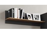 Wandregal VCM "Holz Wandregal Hängeregal Wandboard Regal Usilo", braun (anthrazit, honig, eiche), B:102cm T:20cm, Regale, Wandregal
