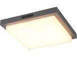 TRIO LEUCHTEN LED Außen-Wandleuchte "BERMEJO, Hausnummer Leuchte mit Bewegungsmelder IP54 Fassadenleuchte", anthrazit, 1, H: 5,7cm, 1 Stk., Leuchten, CCT Lichtfarbe einstellbar 2300-4000K, 1450 Lumen 14W Ø 30cm, LED Außen-Wandleuchte
