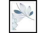 Bild QUEENCE "Anja", blau (farbe rahmen: schwarz, farbe bild(er): blau), B:50cm H:60cm, Acrylglas, Holz, Papier, Bilder, Bild, Blumen, gerahmt