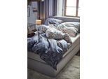 Bettwäsche WÄSCHEPUR Gr. 2, beige (champagner, royalblau, bedruckt), B/L: 155cm x 200cm, Renforcé, B/L: 80cm x 80cm, 2 Stk., Renforcé, 100% Baumwolle, Bettwäsche, Bettwäsche