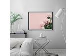 Bild QUEENCE "Gunda", rosa (farbe rahmen: schwarz, farbe bild(er): rosa), B:60cm H:50cm, Acrylglas, Holz, Papier, Bilder, Bild, Rosen, gerahmt