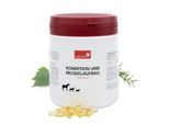 HerzensTier Kondition und Muskelaufbau 600 ml
