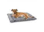 Doctor Bark Pointer Urban Kissen hellgrau L