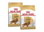 ROYAL CANIN Cocker Adult 2x12 kg