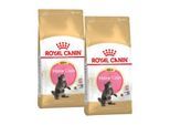 ROYAL CANIN Maine Coon Kitten 2x10 kg