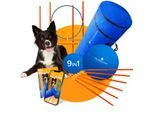 PfotenWunder® 9-in-1-Agility Set Hunde groß + 21 Min. HUNDESCHULE - 6 Slalomstangen, 1 Tunnel, für kleine & große Hunde, Training Sport Spielzeug Cavaletti Parcour Steckhürdenset Zubehör Hürden