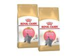 ROYAL CANIN British Shorthair Kitten 2x10 kg