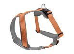Hunter Geschirr Neopren schwarz/ orange L
