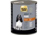SELECT GOLD Pure Adult Känguru 24x800 g