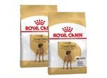 ROYAL CANIN Deutsche Dogge Adult 2x12 kg