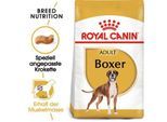 ROYAL CANIN Boxer Adult 12 kg